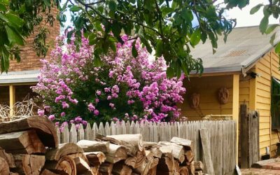 Welcome to the first Moira Gums Blog!